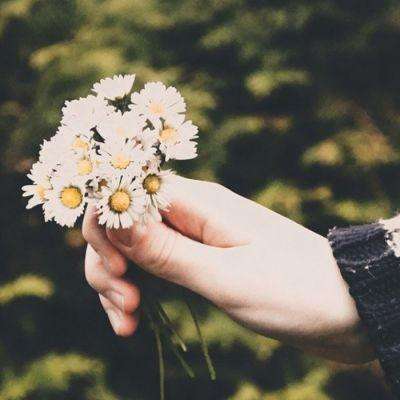 开云网kaiyunapp下载